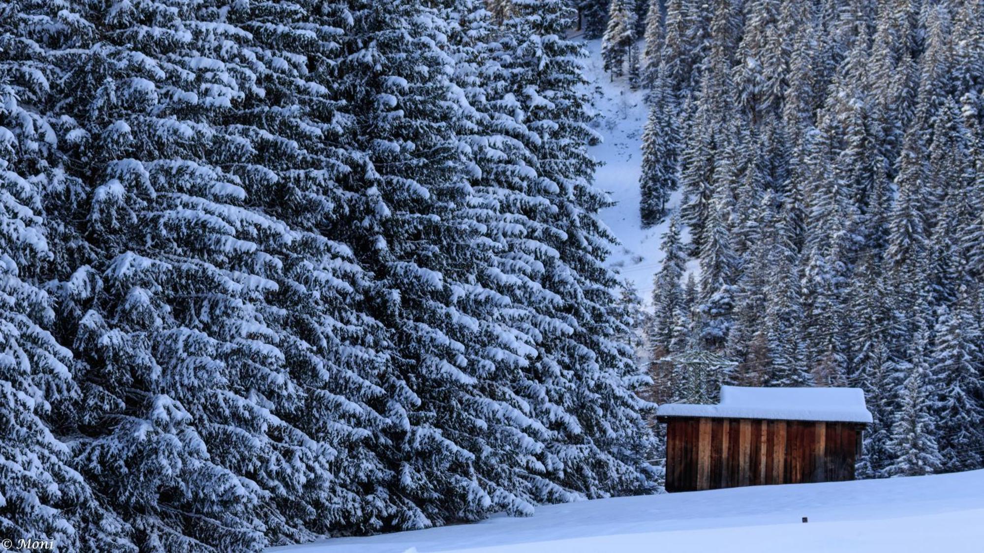 Haus Timmler Apartamento Sankt Anton am Arlberg Exterior foto