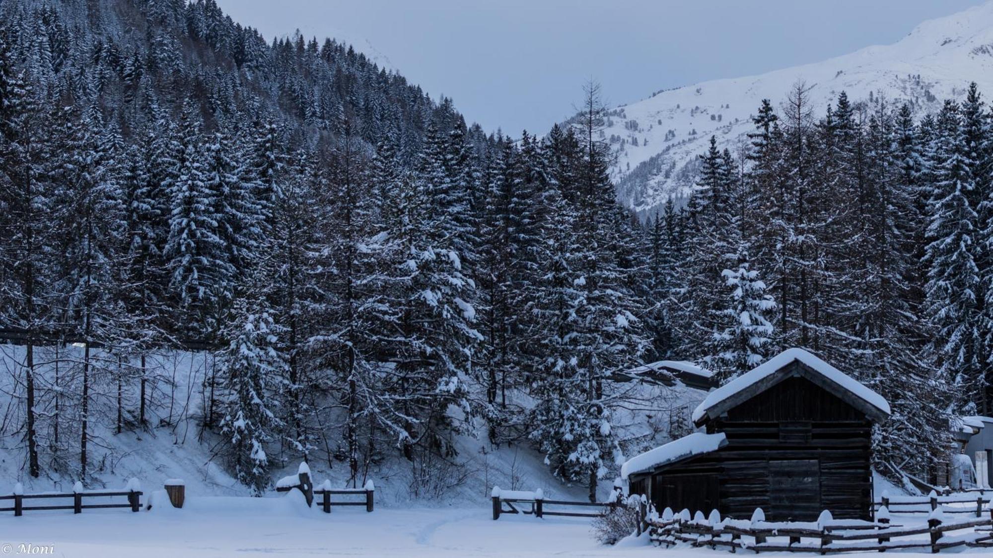 Haus Timmler Apartamento Sankt Anton am Arlberg Exterior foto